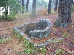 Ao nước tròn, cái giếng méo, cây thị vẹo, cây khế khòng khoeo