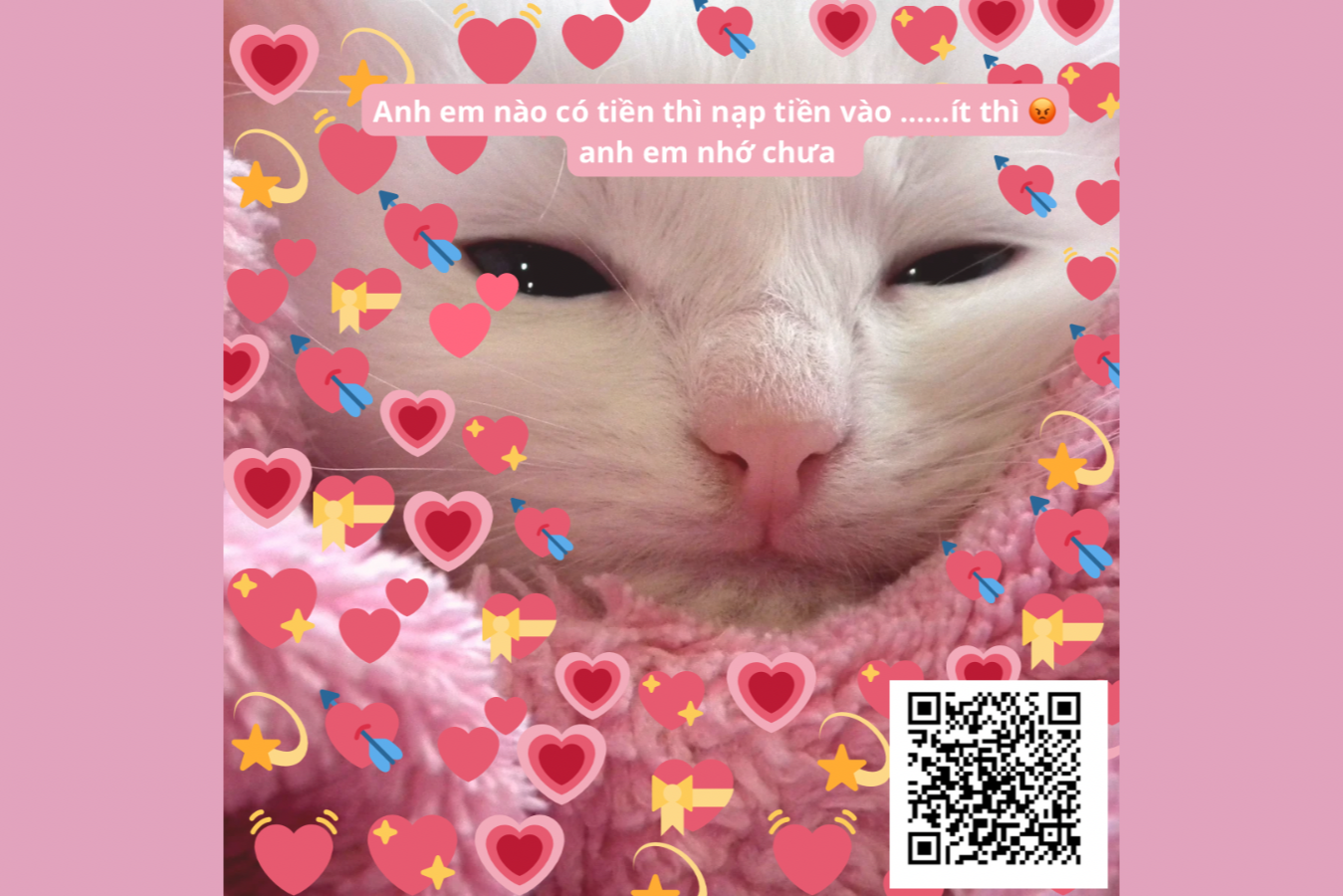 Donate Mimimi