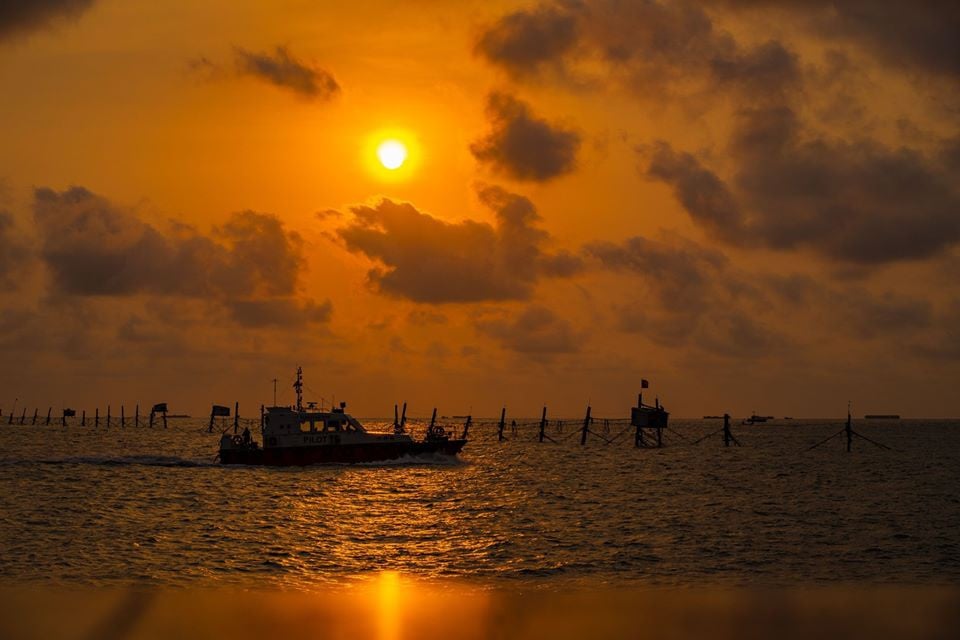 Oan hồn của biển...