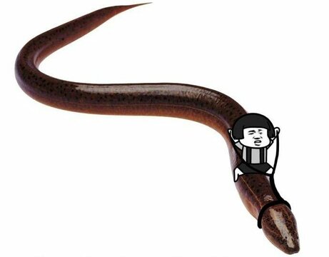 Phần 1 - Chương 71: Người quen