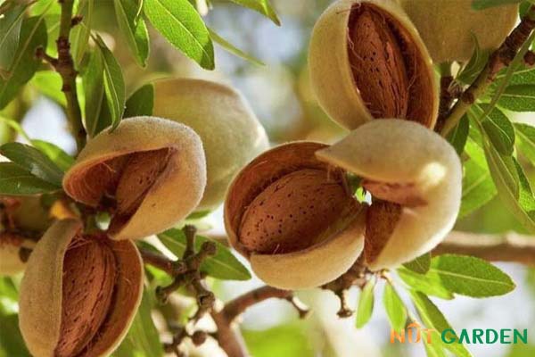 Phần 3 - Chương 1: Vụ nổ