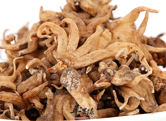 Phần 3 - Chương 20