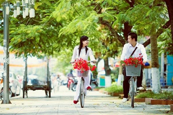 Tình yêu học trò